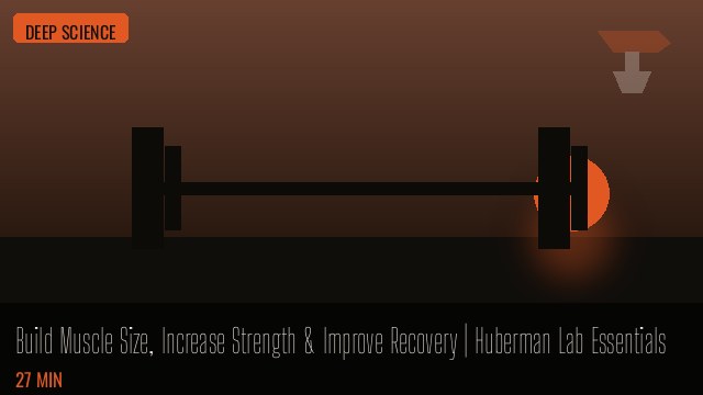 Build Muscle Size, Increase Strength & Improve Recovery | Huberman Lab Essentials